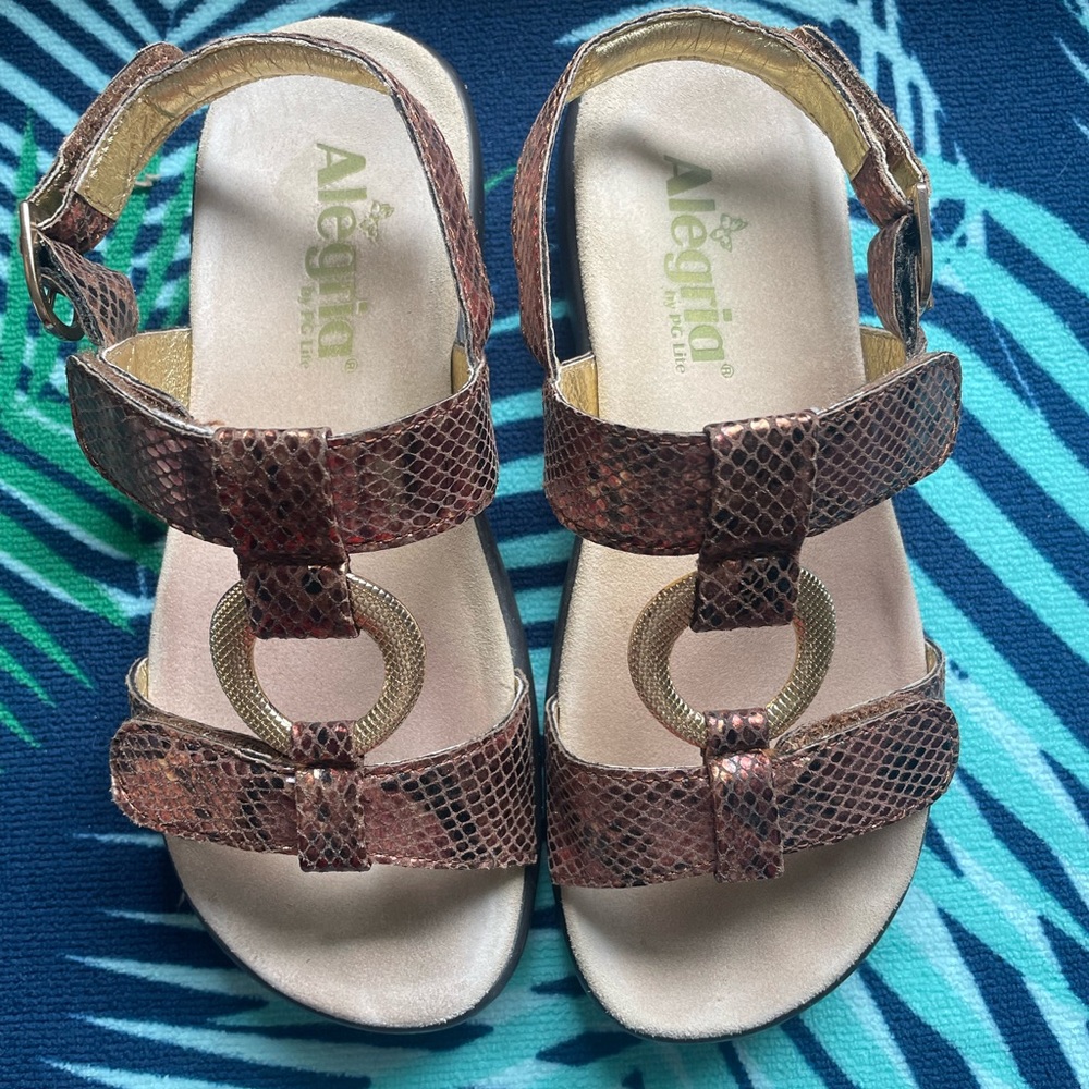 ALEGRIA - Brown Metallic Faux Snakeskin Gladiator Sandals Size 35